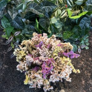 Limonium Bouquets