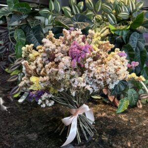 Big Limonium