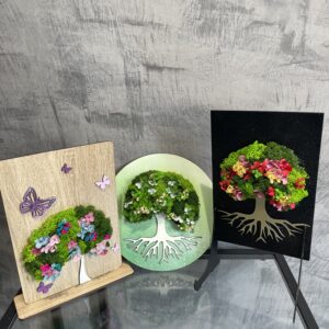 Lichen Arrangements